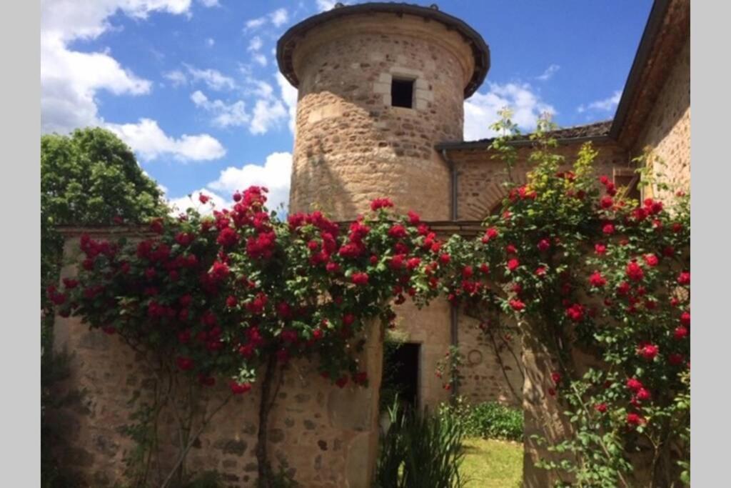 Domaine De La Durantie Duplex Vieux Chateau Castelnau-de-Montmiral Exteriér fotografie