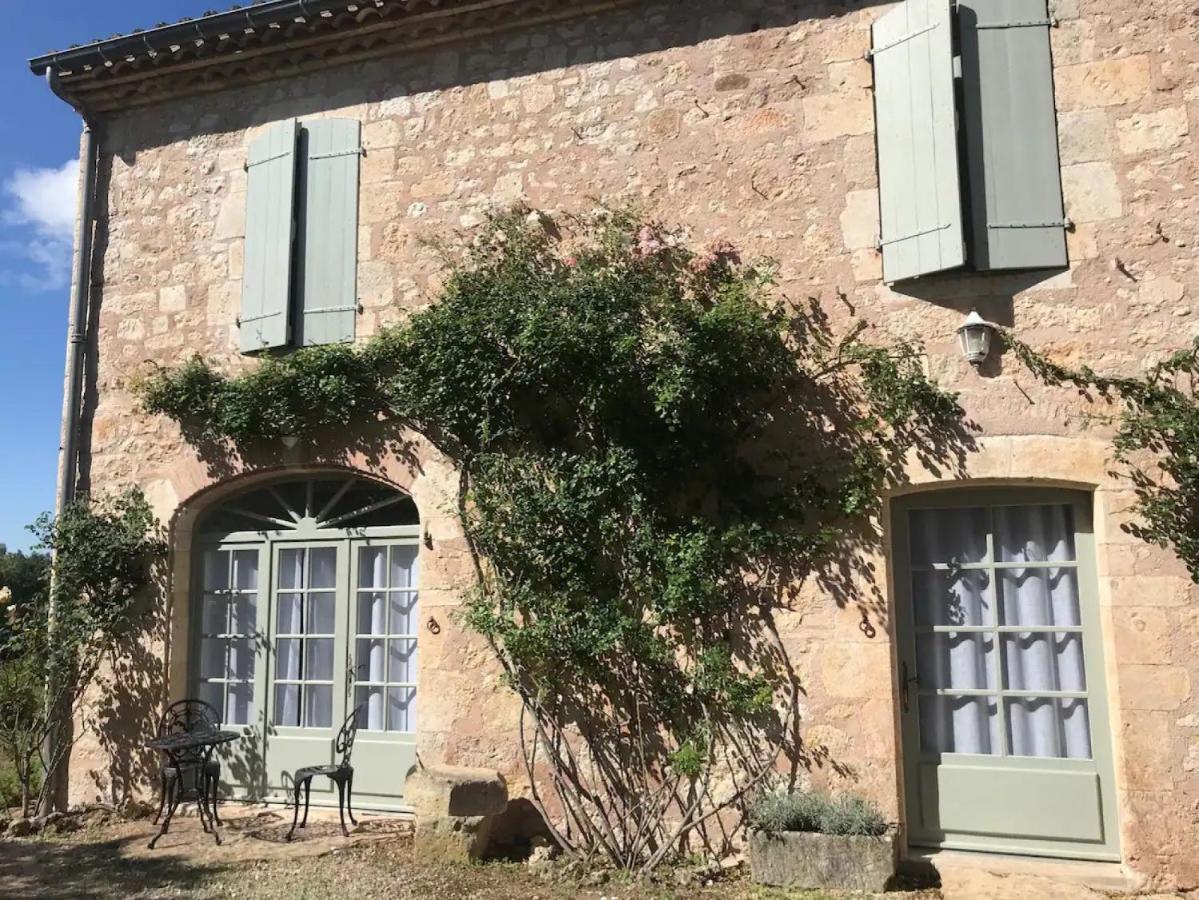 Domaine De La Durantie Duplex Vieux Chateau Castelnau-de-Montmiral Exteriér fotografie